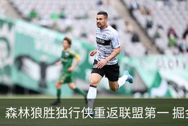 森林狼胜独行侠重返联盟第一 掘金胜篮网3连胜